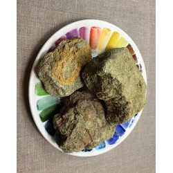 Зелена земля з Верони